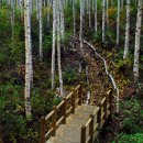 홍천군관광안내소 이미지