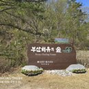 오음보건소 네이버블로그