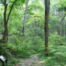 용항리경로당 이미지