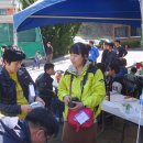 태경미