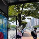 [한국] 남이섬 1박2일, 정관루 투투별장 토끼방, 조무락 닭갈비