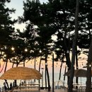 씨유태안중앙점 | 태안 아일랜드리솜 아일랜드57(일루글루 비추천),교촌, 편의점, 투썸 이용후기