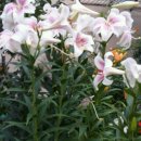 강진베이스볼파크펜션 이미지