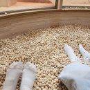 꽁냥이놀이터 이미지