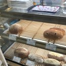 빵집에정나지요 | 검단 비건빵 맛집 발견! ‘빵집에정나지요’ 솔직리뷰 & 추천메뉴