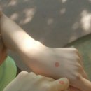대명2동 주민센터 네이버블로그