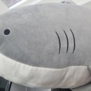 빈스치과의원 이미지