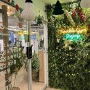 트윙클짐 이미지