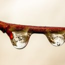 트렌디카 안경원 이미지