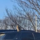 파주파인밸리 | [파주] 파인벨리 펜션 방문후기