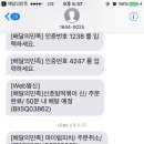 피나치공 이미지