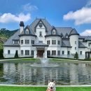 소노펫 보딩 이미지