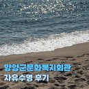 적성문화복지회관 | 양양군 실내수영장 양양군문화복지회관 수영장 자유수영 후기