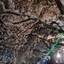 울산산방한방찻집
