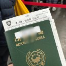 터미널에서 니나호 배타고 대마도 여행 + 온천 유타리랜드 예약 후기 (맛집, 온천, 주차, 렌트, 쇼핑 할인)