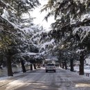 예산중학교 이미지