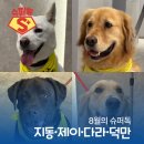 제이 에스 메디칼 이미지