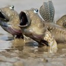 정원국밥 이미지