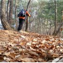 큰나무요양병원 이미지