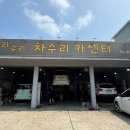 수리수리 차수리 이미지