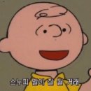 중소기업 청년 전세자금대출 100% 후기 (feat. 다가구) #2 가계약과 은행방문 첫번째(상담, 가조회)
