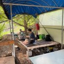 천안 트리하우스 | 천안 캠핑장 트리하우스 천안계곡 평상대여 캠핑 후기