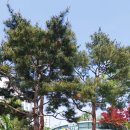 중구 견인차량보관소 이미지
