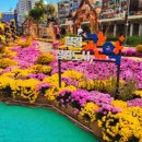 댕실댕실 이미지