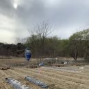 시형농장 이미지