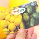 벧엘농장2 이미지