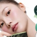 리즈약국 이미지