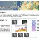 21 세기 의학혁명 : 세포의 필수 당영양소 - 글리코영양소(Glyconutrients) 이미지