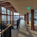 주전초등학교 이미지