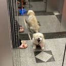 AOW(아오와) 이미지