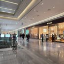 이스팀 | 현대백화점 판교점 이스팀커피에서 즐긴 카페라테, 판교카페