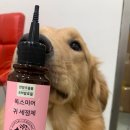 다솜바이오 이미지