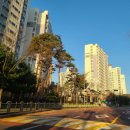 동백사랑약국 이미지