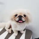 우장동물병원 이미지