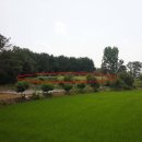 고덕면010 네이버블로그