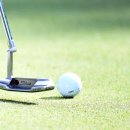 그린샷 골프클럽 이미지