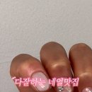 네일연이프