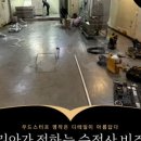 우드스터프평택지사 이미지