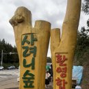 겨울제주여행코스ㅣ사려니숲길 붉은오름 가는법 미로숲길 한라산둘레길