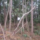 청금식당 이미지