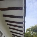 이레스테이 이미지