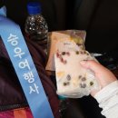 도선동천 | 도파민이 파도치는 날 - 국화도 섬 트레킹 &amp; 제부마리나 요트 투어