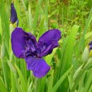 청통농장 이미지