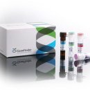 오상헬스케어 이미지