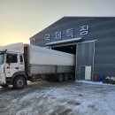 국제잔넬