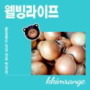 농업회사법인 웰빙주식회사 | 단단하고 단맛나는 햇양파 농업회사법인주식회사웰빙라이프 창녕양파